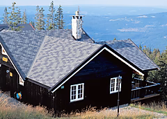 Selvbygger miljøbilde de